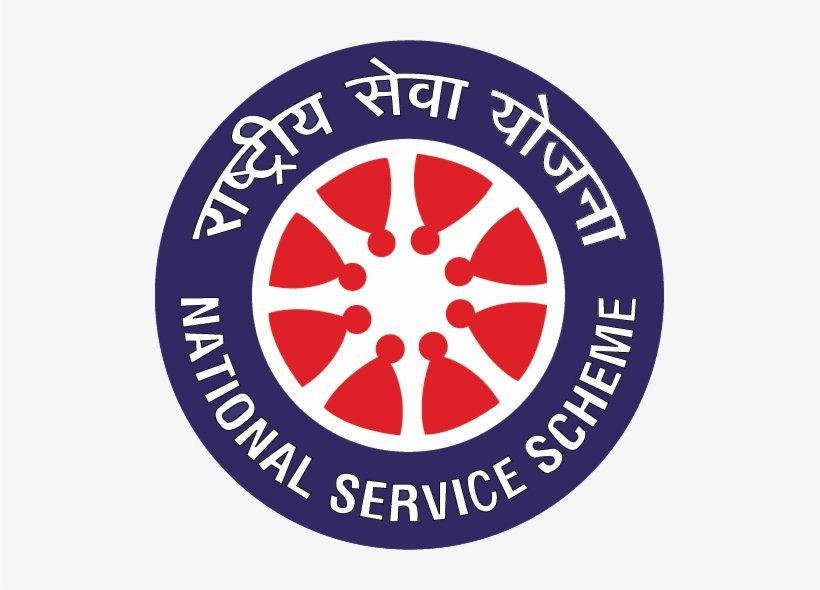 NSS Logo